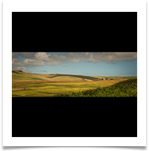 Drift of Red on the Sussex Downs - Dave Cowsill